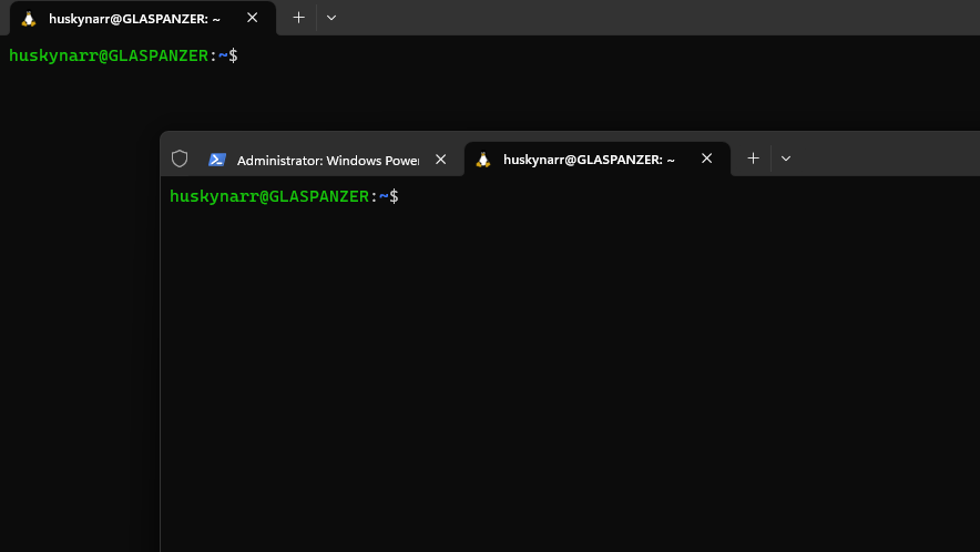 Terminal mit Windows Powershell im Admin Modus